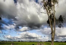 LOL投注官网 -赛博朋克2077怎么睡路人